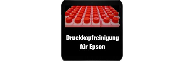 Epson Druckkopfreinigung