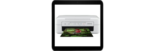 Epson Expression Home XP-257 Sublimationszubehör