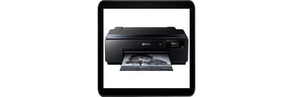 Epson Surecolor SC-P600 Sublimationszubehör