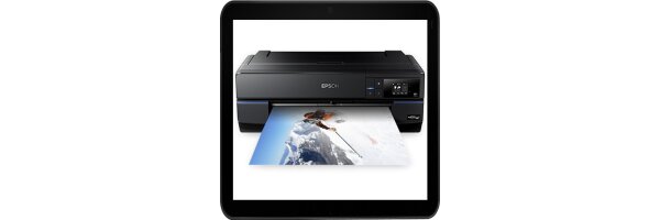 Epson Surecolor SC-P800 Sublimationszubehör