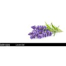 Küchenrückwand / Nischenverkleidung ab 120x50cm (BxH) bis 300x60cm - Motiv: Lavendel