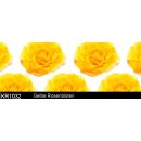 Küchenrückwand / Nischenverkleidung ab 120x50cm (BxH) bis 300x60cm - Motiv: gelbe Rosenblüten