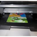 SPP445 - PVC Kartendrucker Starterpack "alles...