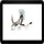 Rolektro City + Sport Pedelec Steuerplatine 24V