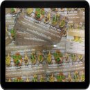 Canon Pixma TS8352 zum PVC Kartendrucker machen mit der SPP314 Kartenschublade - Inkjet Print Cardtray inkl. 10 Inkjet PVC Karten