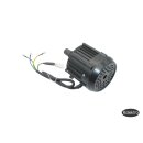 Carrier25 - Motor 60V /1000 Watt