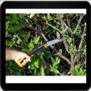 FISKARS® Xtract™ SW75 Astsäge 25,5 cm