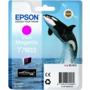 T7603 - Epson C13T76034010 Druckerpatrone Magenta SC-P600 