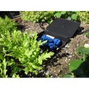 TiDis Grow – AutoPot – AQUAbox Gerade