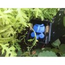 TiDis Grow – AutoPot – AQUAbox Gerade