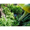TiDis Grow – AutoPot – AQUAbox Spyder