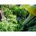 TiDis Grow – AutoPot – AQUAbox Spyder
