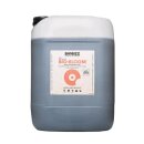 BioBizz Bio-Bloom, Blütezusatz, 20.000ml - Perfekte...