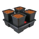 TiDis Grow – Nutriculture – Wilma Origin...