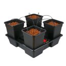 TiDis Grow – Nutriculture – Wilma Origin XL 4...