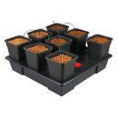 TiDis Grow – Nutriculture – Wilma Origin XXL...
