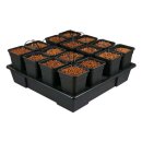 TiDis Grow – Nutriculture – Wilma Origin XXL...