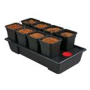TiDis Grow – Nutriculture – Wilma Origin...