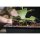 TiDis Grow – NUTRICULTURE – Flo Gro 520 – 70x70x27 cm