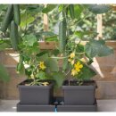 TiDis Grow – AutoPot Easy2Grow Erweiterungsmodul (2× 8,5 L Töpfe + Untertasse + Zubehör)