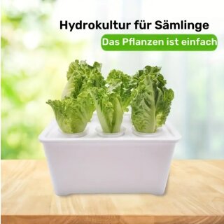 TiDis Grow – Hydroponik Set für die Anzucht von Setzlingen - Ausführung in schwarz