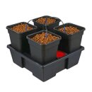TiDis Grow – Wilma Growsystem 4 Large (4 ×...