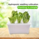TiDis Grow – Hydroponisches...