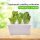 TiDis Grow – Hydroponisches Sämlings-Starterset in praktischer 6er Box