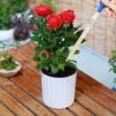 TiDis-Grow - Glas Pipette mit 10ml Volumen für exakte Dosierungen
