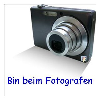 Epson 250 Lightcyan Standard Druckerpatrone mit 5,3ml Inhalt für ca. 360 Seiten Druckleistung - C13T16N54010