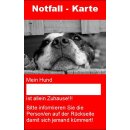 Schild 8,5 x 5,4 cm  - Notfallkarte für den Hund