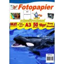 SPP163 - A3 Glossy Papier mit 180g/m2 - weiß und...